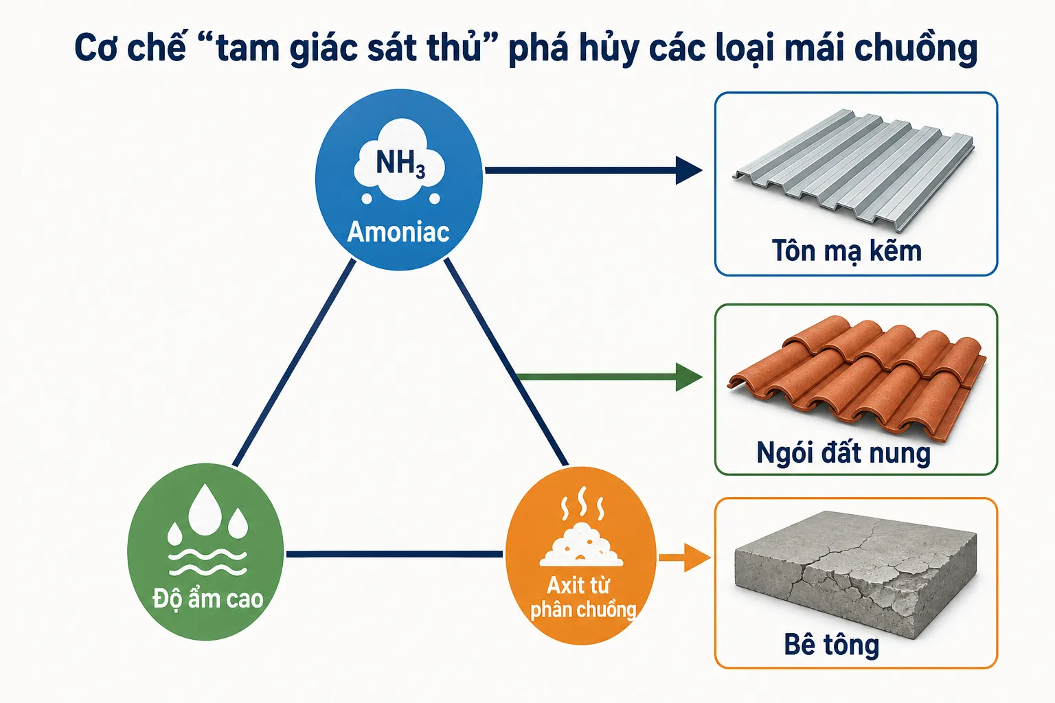 Sơ đồ minh họa cơ chế amoniac, độ ẩm cao và axit từ phân chuồng phá hủy tôn mạ kẽm, ngói đất nung và bê tông